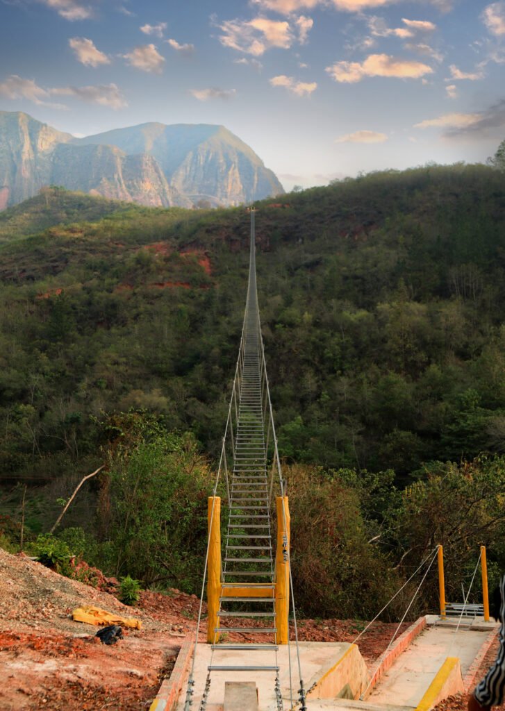 Vista de la escalera colgante extendiéndose hacia el final del tramo, rodeada de naturaleza y aventura.