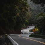 Vista de la carretera "La Viborita", con curvas pronunciadas rodeadas de árboles frondosos y naturaleza exuberante, en la ruta hacia los Valles Cruceños.