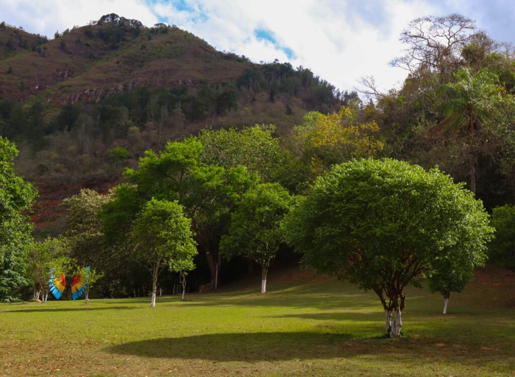 Un extenso paisaje de campos abiertos bajo un cielo despejado, ideal para respirar aire puro y disfrutar de la tranquilidad.