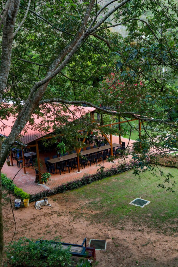 Vista desde el sendero que rodea el Restaurante El Encanto, mostrando un paisaje natural que complementa la experiencia gastronómica.