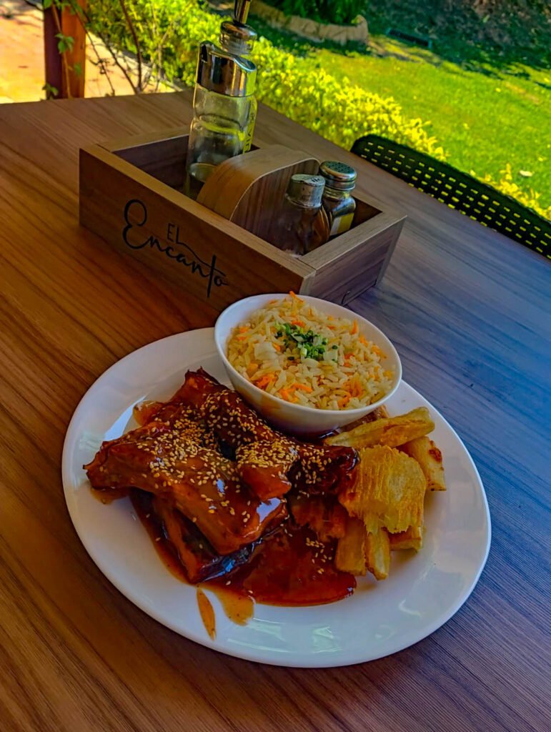 Costillas de cerdo jugosas bañadas en salsa barbacoa, listas para disfrutar.