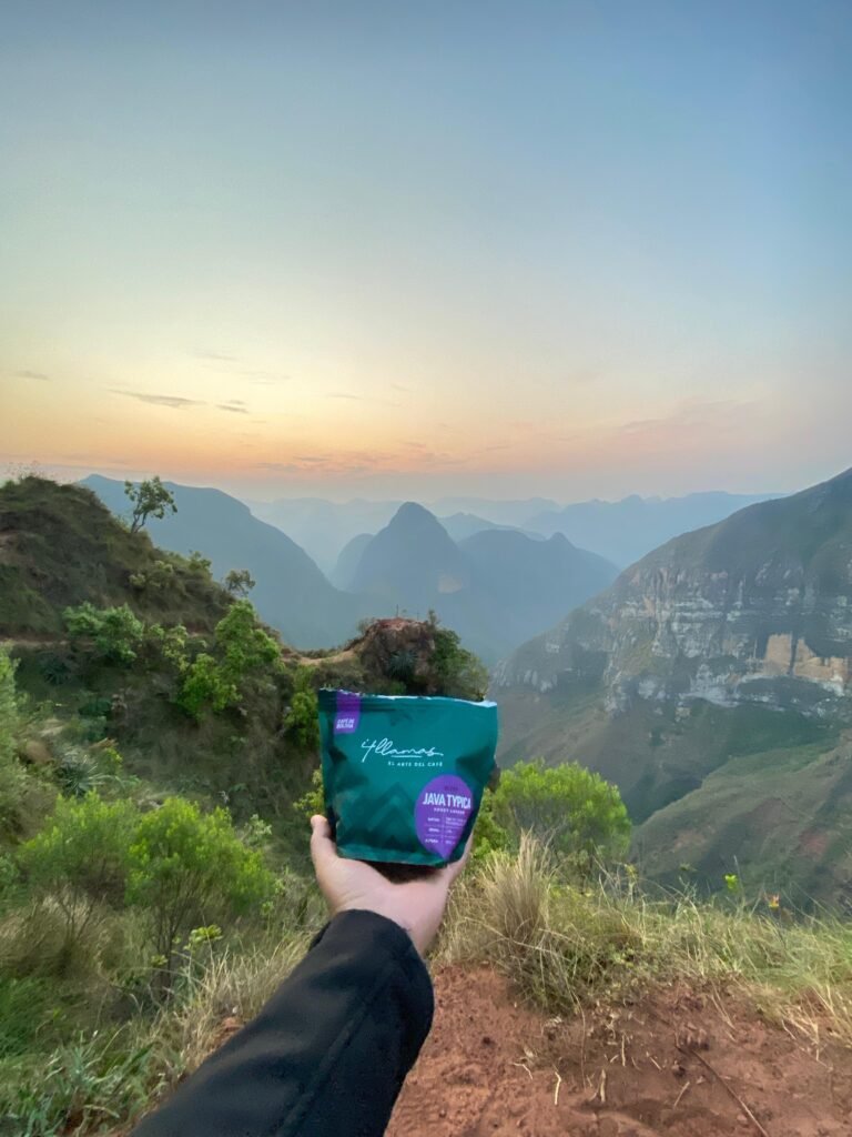 Granos de café frescos a punto de ser molidos con el amanecer de fondo.